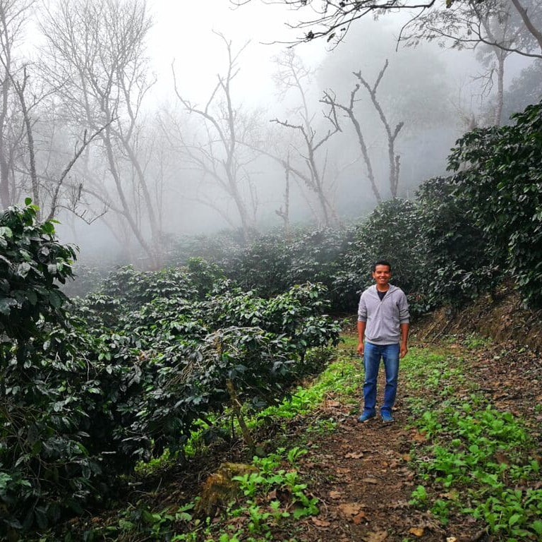 Thailand Doi Saket