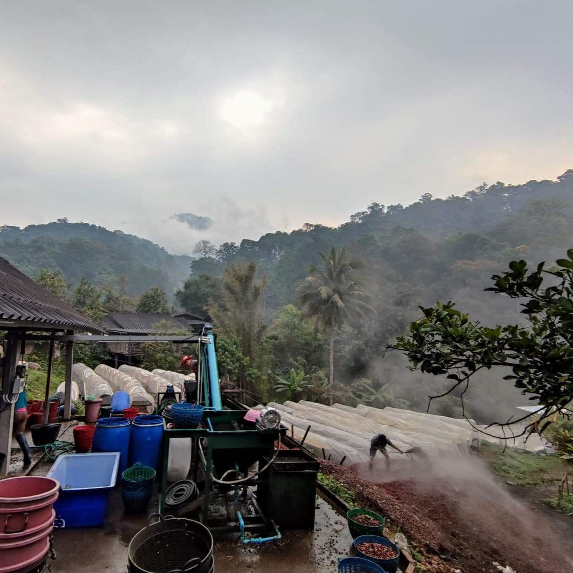 Thailand Huai Mae