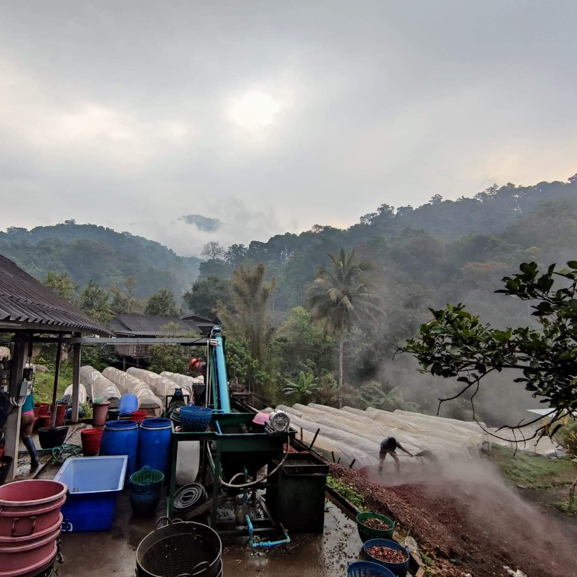 A rural outdoor scene with a small covered workspace or shed in the foreground filled with buckets, containers, and equipment, set against misty forested hills under an overcast sky.