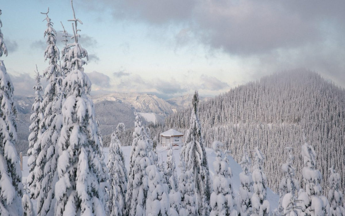 Washington's Snow Bowl Hut
