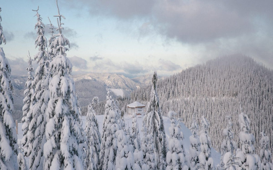 Washington's Snow Bowl Hut