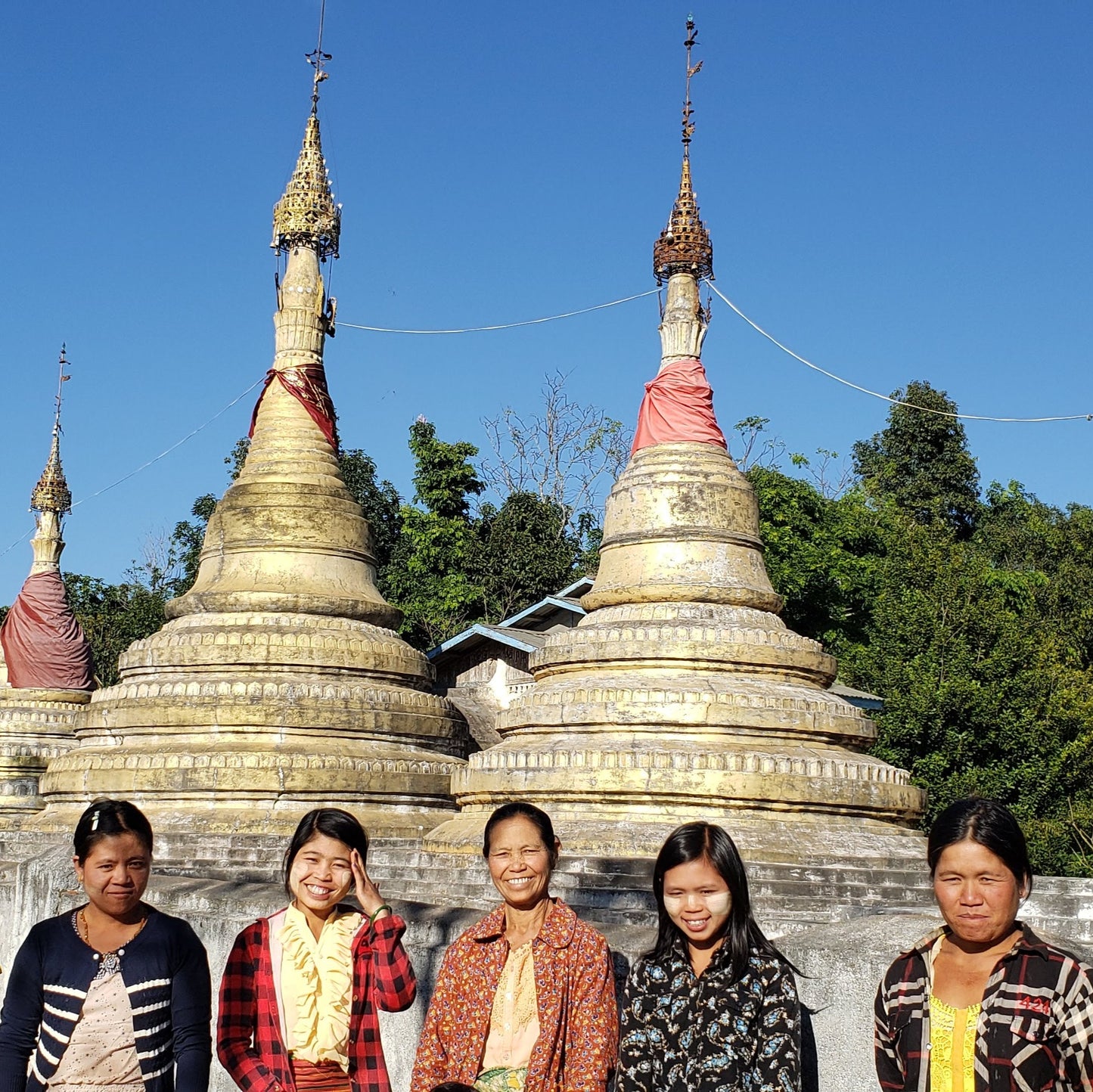 Myanmar Oat Twin