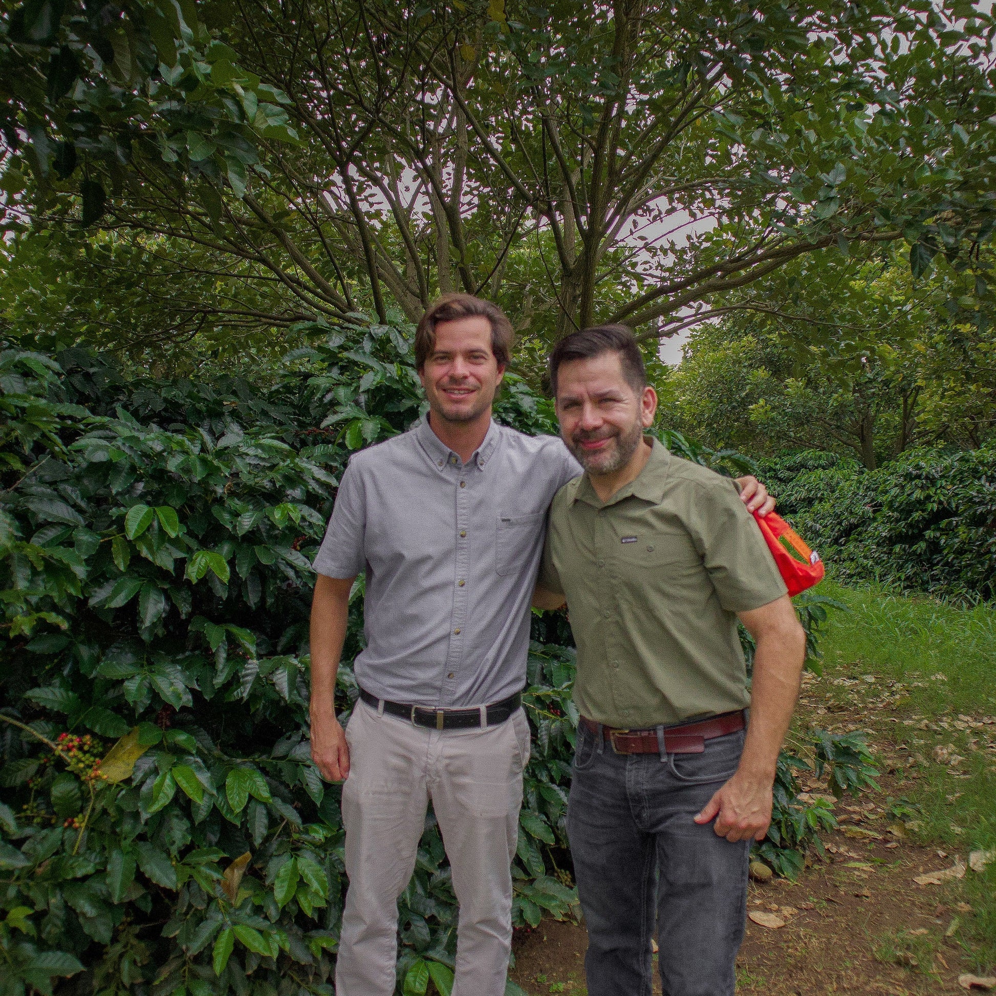 Two men standing in a garden with trees and plants around them.