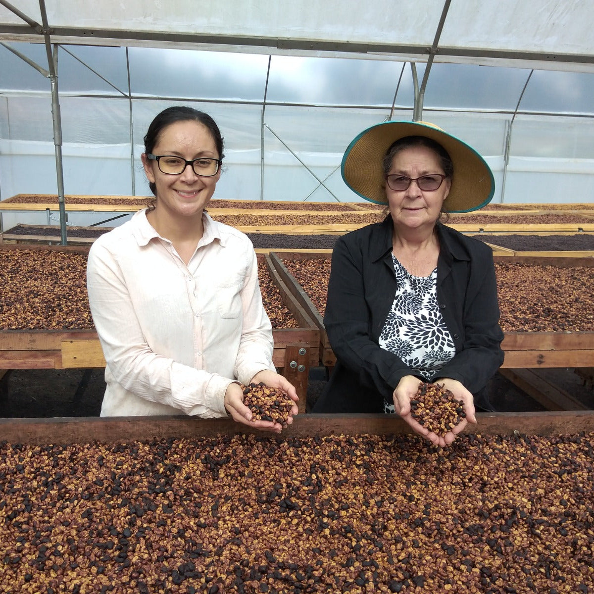 Two women holding coffee beans in a greenhouse setting