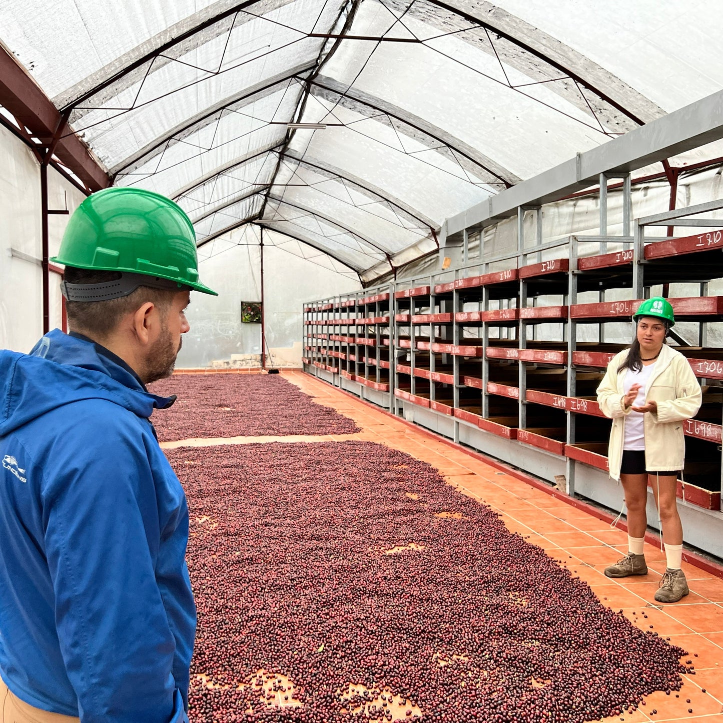 Costa Rica Aquiares Esparanza