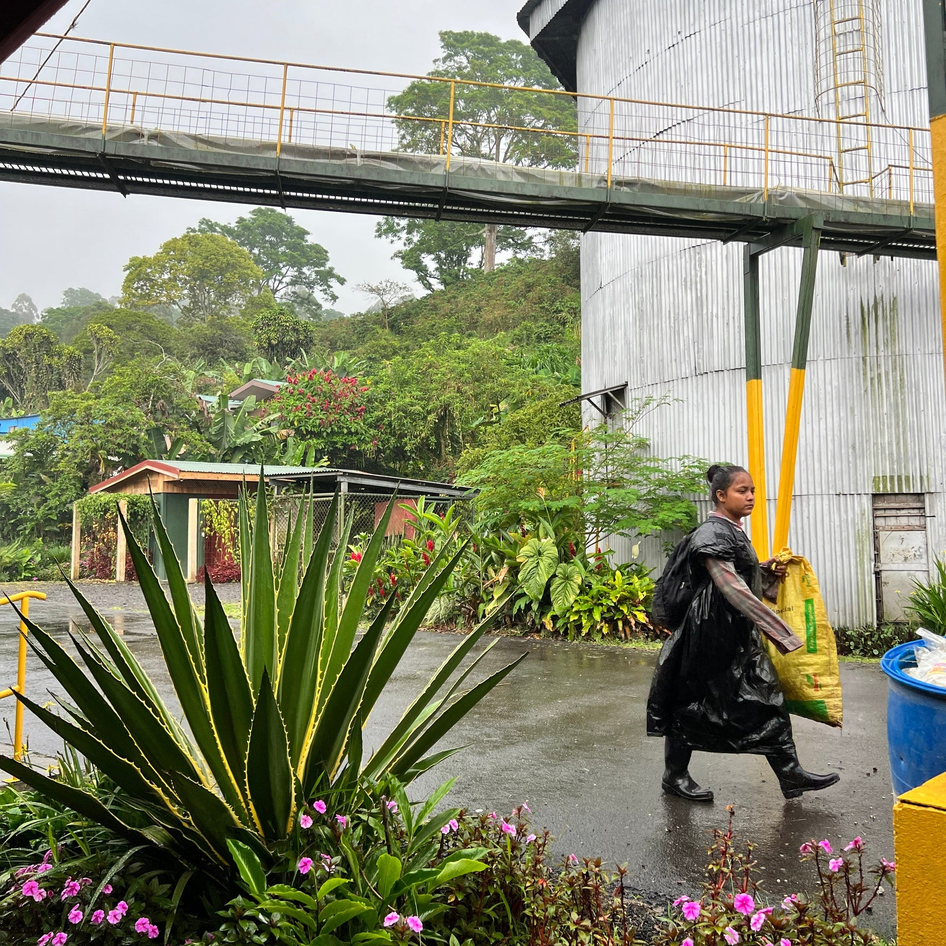 girl walking in coffee mill